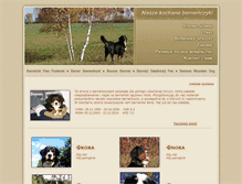 Tablet Screenshot of e-bernenczyki.pl